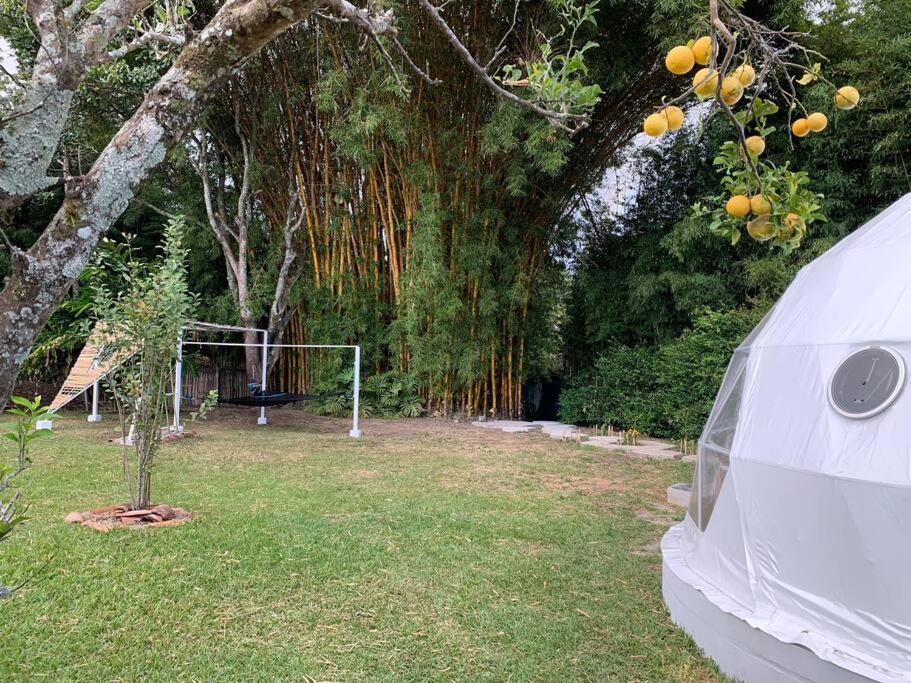 Dome In The Heart Of Boquete. Apartamento Exterior foto