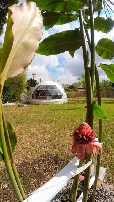 Dome In The Heart Of Boquete. Apartamento Exterior foto