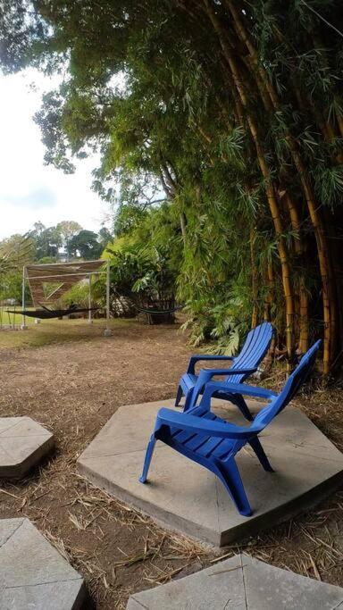 Dome In The Heart Of Boquete. Apartamento Exterior foto